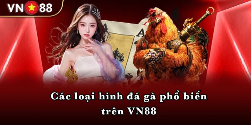 Các loại hình đá gà phổ biến trên VN88