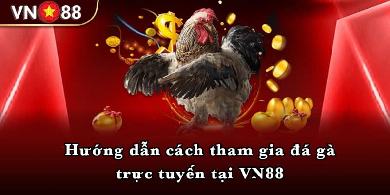 Hướng dẫn cách tham gia đá gà trực tuyến tại VN88